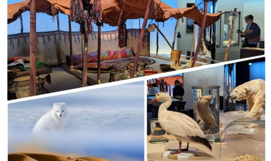 Sortie en famille 👨‍👩‍👧‍👦 cap sur l’exposition « Déserts » au Muséum d’Histoire naturelle à Paris